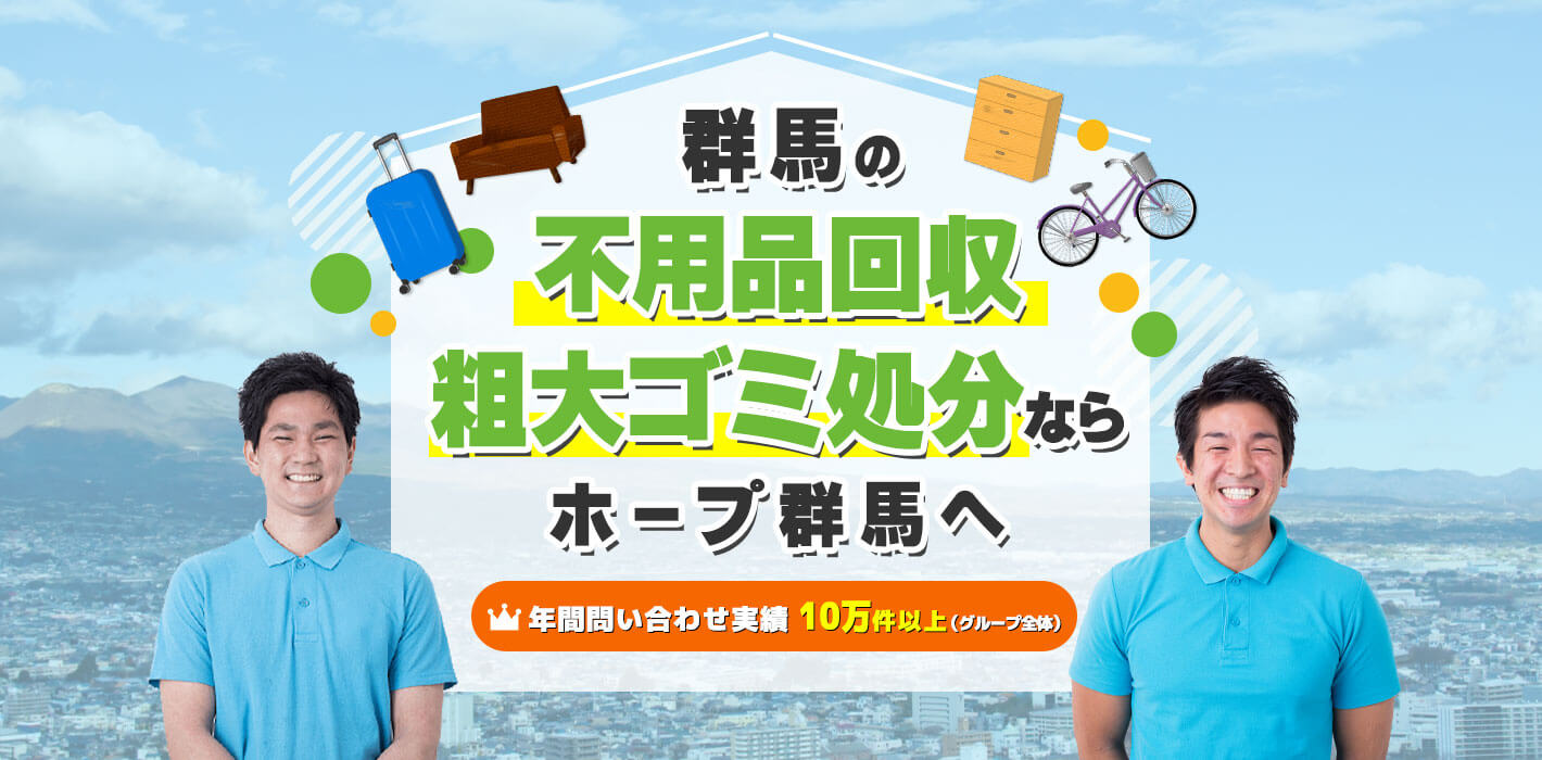NP-TZ300 無かっ 群馬県太田市引き取り歓迎｜食器乾燥機