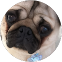 R profile picture